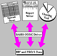 BASIS ODBC Driver Diagram